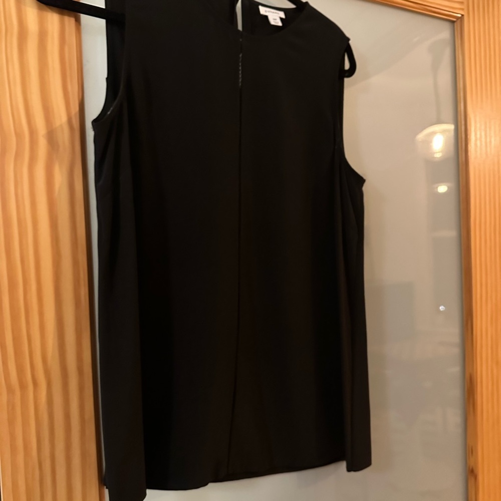 Cuyana silk blouse